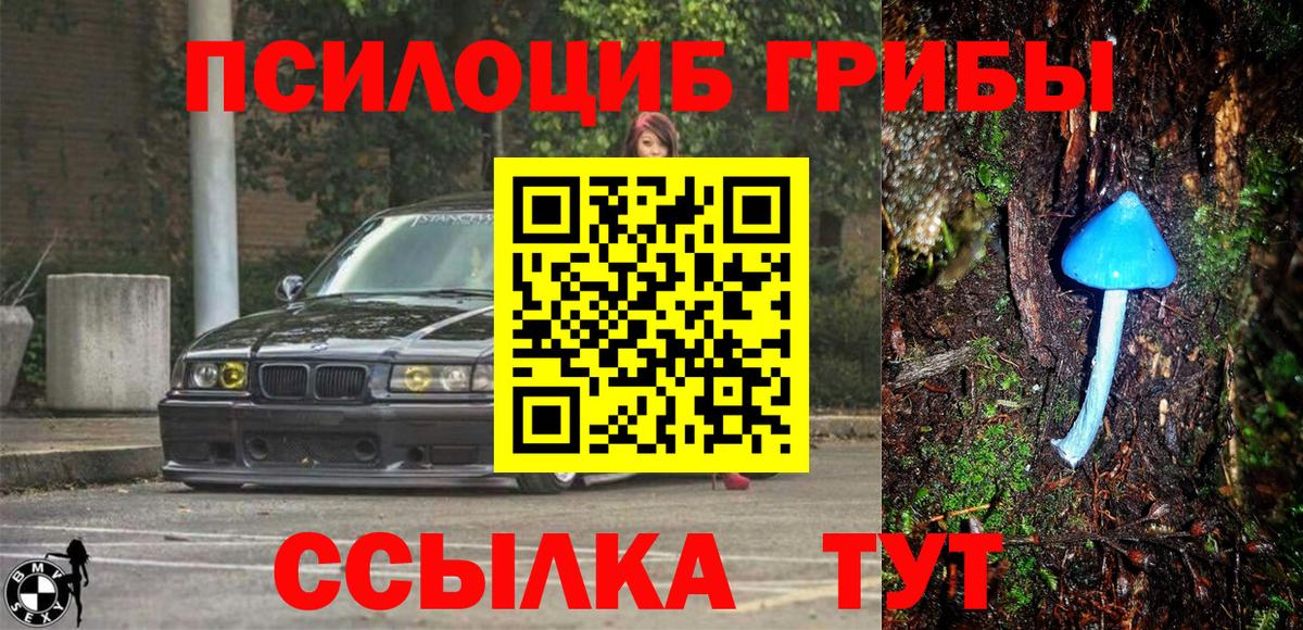 Чита  Псилоцибиновые грибы GOLDEN TEACHER  Вход с VPN  Галлюциногенные грибы мухоморы 